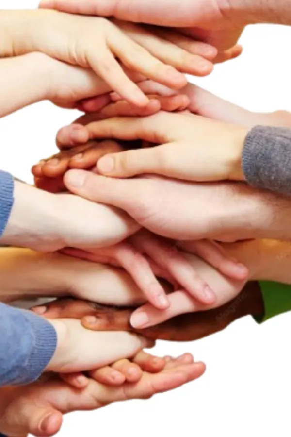 Fundación THT